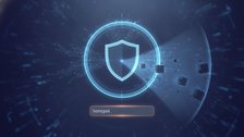 Honeypot field spam protection settings for web forms